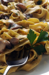 Tagliatelle ai funghi Tallarines Pasta Тальятелле イタリア料理 Italienische Küche  タリアテッレ Cucina italiana Italian Cuisine Gastronomía de Italia Gabatieles تالياتيلي sounding Fettuccine 탈리아텔레 تالیاتله 
