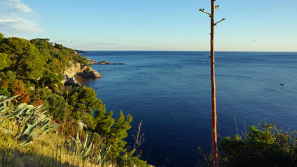 amazing natural beach in croatian town dubrovnik
