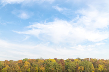 Autumn forest with sky