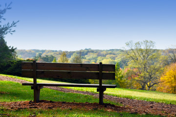 Fototapeta premium Park Bench