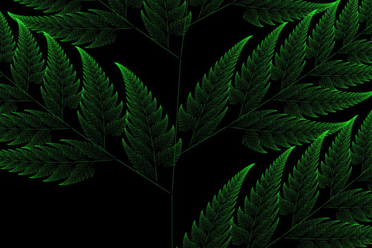 Green Fractal Background