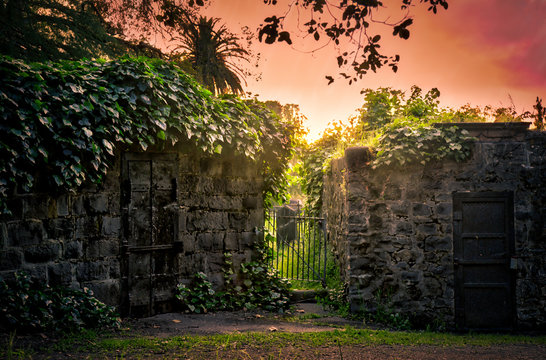 Glowing sun sets in cemetery crypts shrouded in vegetation