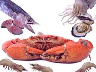Raw materials seafood background 