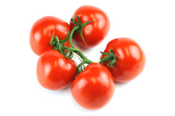 tomato isolated on white background