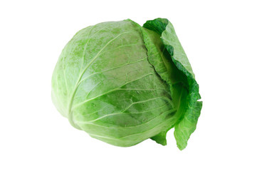 close up on fresh cabbage