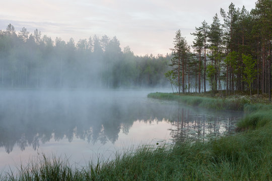 Fototapeta Foggy morning at forest pond landscape Finland
