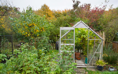 Greenhouse in autumn