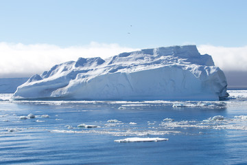 An iceberg in Antarctica