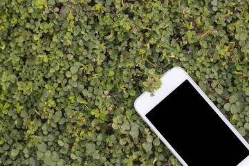 Smartphone on unwanted flora background and copy space