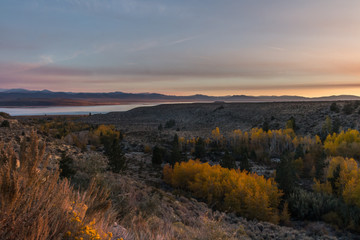 Sunrise over fall colors in Lee Vining Canyon and Mono Lake in California. Pine trees and aspen are...