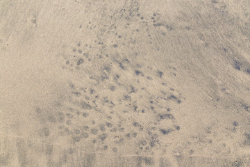 Wet sand patterns at beach