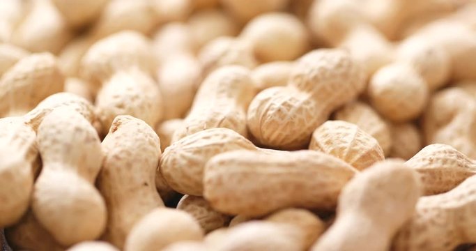 Roasted Peanuts