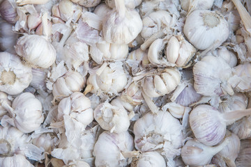 Fresh garlic in thai street market.group of garlic background