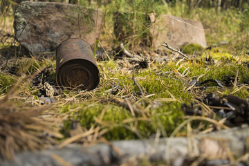 Canned stewed meat. The rusty can in the forest.