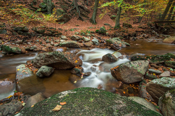 Naklejka na ściany i meble Mountain stream with waterfall in an autumn forest