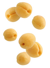 Flying apricots isolated on white background.