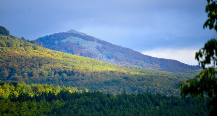 beautiful autumn trees. Autumn Landscape