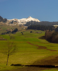 Fototapeta na wymiar Swiss Countryside path