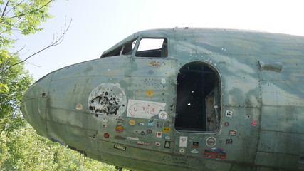 Obraz premium Relitto di aeroplano nella foresta