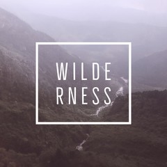 Inspirational motivational travel quote "wilderness" on mountain and river background.