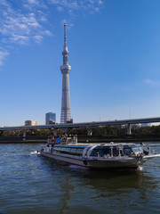 東京 隅田川 スカイツリー