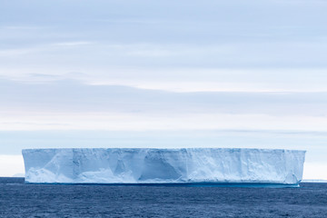 Iceberg, Antarctica