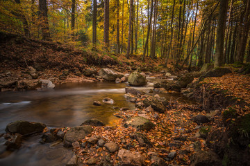 Mountain stream with waterfall in an autumn forest