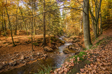 Mountain stream with waterfall in an autumn forest
