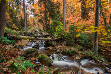 Fototapeta na wymiar Mountain stream with waterfall in an autumn forest. time exposure