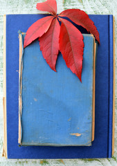 fall leaf on the blue book cover