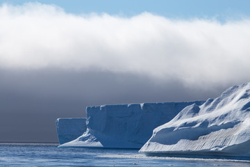 Large Tabular Icebergs, Antarctic Sound, Antarctica
