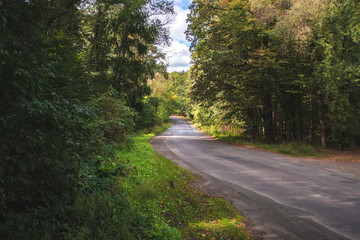 Obraz premium Autumn landscape. Forest on a sunny day.