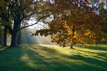 Beautiful autumn landscape - golden autumn in park - autumn scenery - beautiful green areas of the city 

