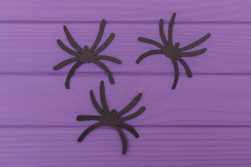The spiders halloween silhouettes cut out of paper