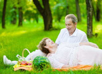 Senior couple relaxing on a picnic in the summer park