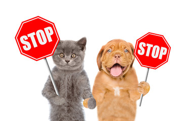 Cat and dog with the 