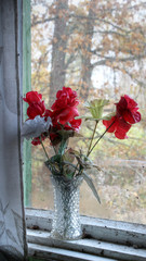 Plastic flowers at the window in old, abandoned farm house in Southern Finland. October morning, fall colors at background.