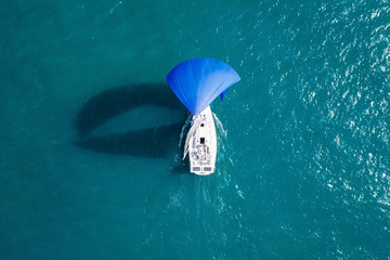 Small yacht with large open blue sail
