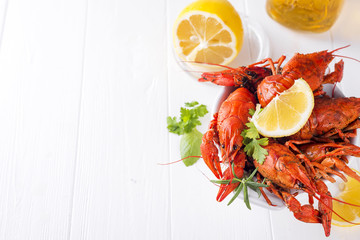Boiled crayfish in the plate with beer