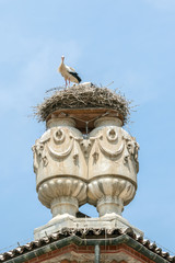 Obraz premium Storks nest in Racconigi Castle.