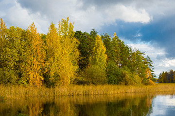 Autumn landscape of the idyllic reflections of clouds in water sometimes fall. Wildlife of Europe...