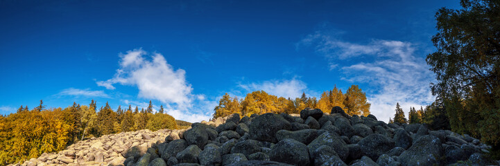 Autumn forest on hillside. beautiful nature. Panorama