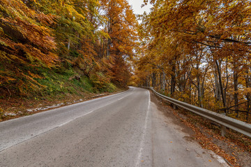 autumn road.