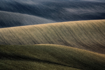 Fototapeta premium panoramic view of the field waves with lines, south moravia, autumn