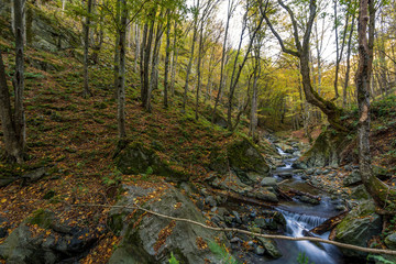 Autumn waterfall in forest