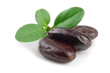 cocoa bean with leaf isolated on white background macro