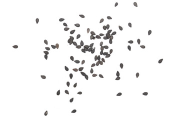 Black sesame seeds isolated on white background top view