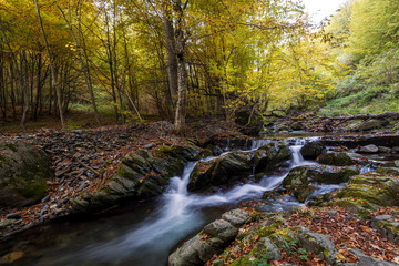 Autumn waterfall in forest