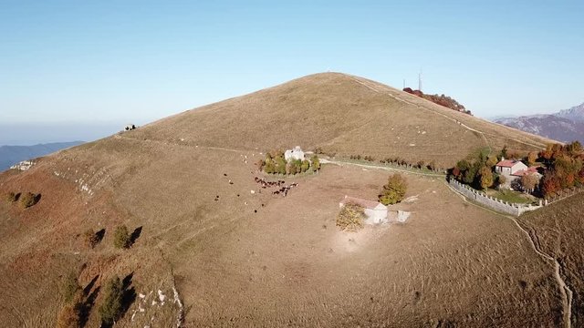 Aerial drone view of the Sanctuary of the holy family of Nazareth, It is placed on Linzone mountain, province of Bergamo. Cows are grazing near the church