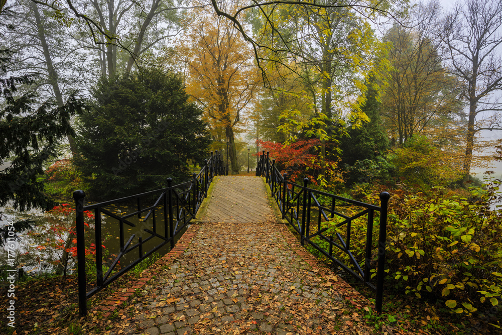 Poster scenic view of misty autumn landscape with beautiful old bridge in the garden with red maple foliage